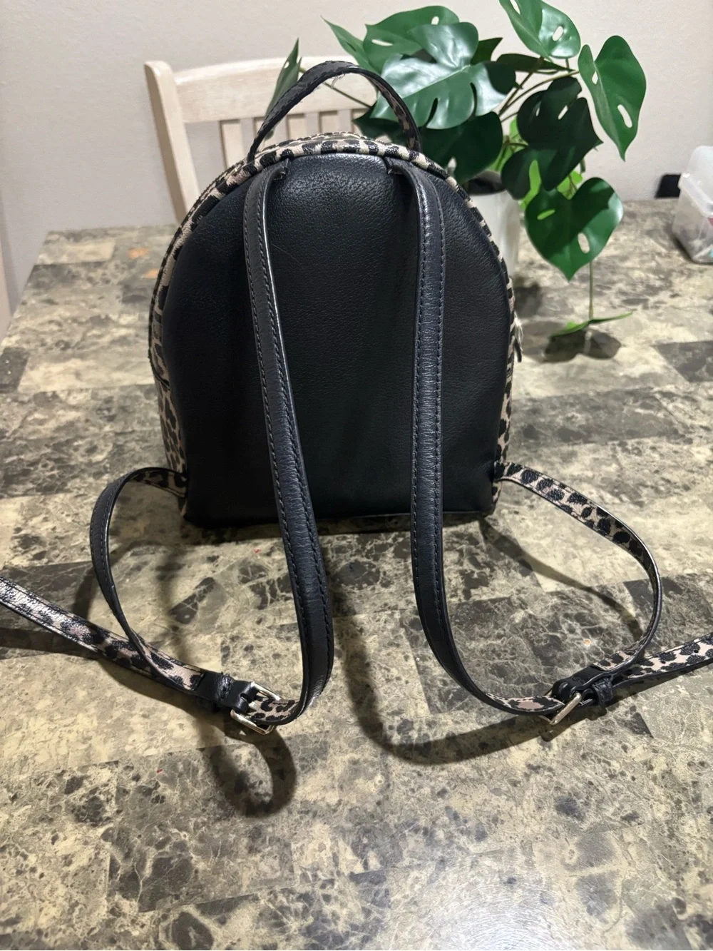 kate spade Leopard Accent Black Mini Backpack